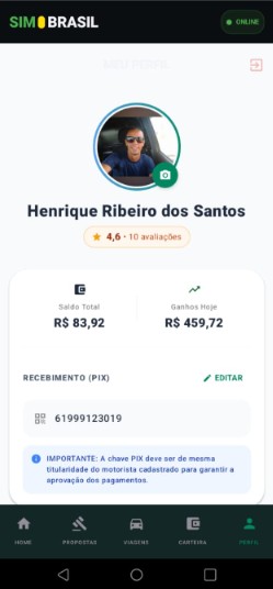Interface Agente